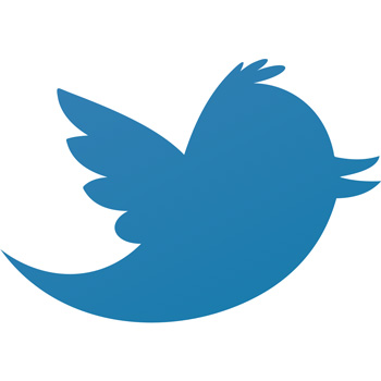 Более 40% пользователей Twitter — «мертвые»