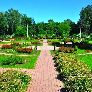 В «Сокольниках» появятся уличные фортепиано