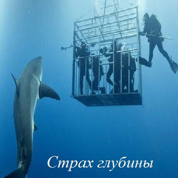 Триллер «Страх глубины» обзавелся дистрибьютором и акулами