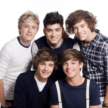 Около 50 подростков пострадали в давке на концерте One Direction