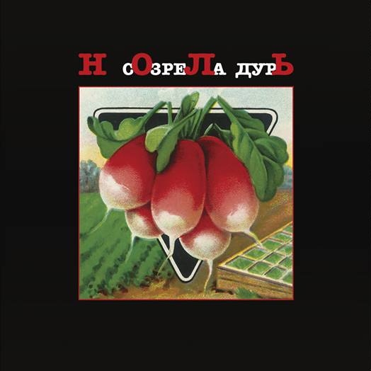 Альбом «Созрела дурь» группы «Ноль» переиздается на виниле