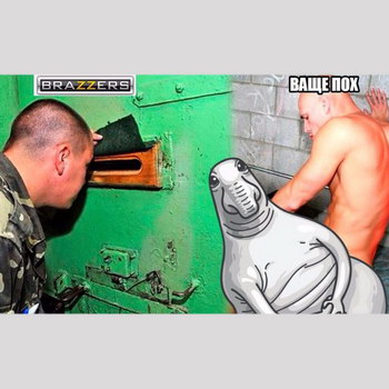 Лысый из Brazzers готов сыграть российского судью ради разблокировки ресурса