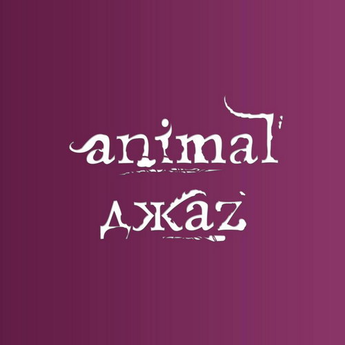 Для Animal Jazz наступает «Время любить» (Видео)