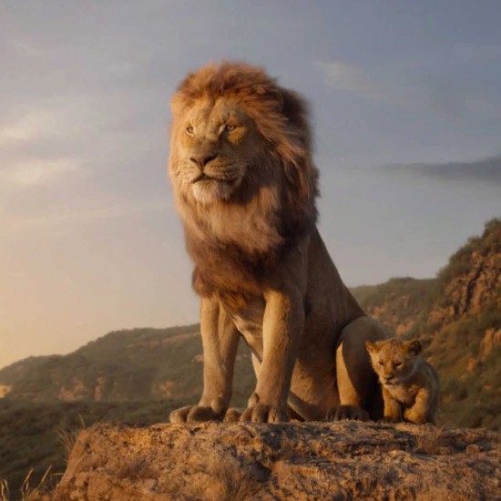 Disney подвел итоги финансового 2019 года: Микки Маус продается плохо