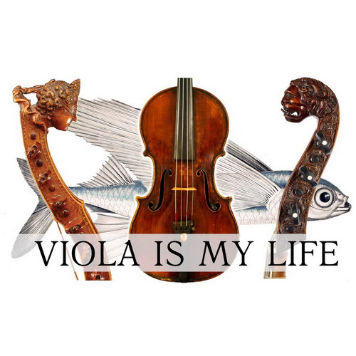 Организаторы фестиваля «Viola is my Life» и РАО пришли к взаимопониманию