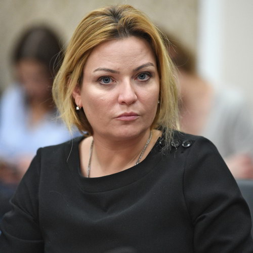 Комитет Государственной Думы по культуре обсудил с Ольгой Любимовой пути взаимодействия с Минкультуры