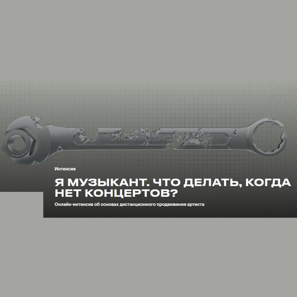 ИМИ расскажет, как музыкантам выживать без концертов