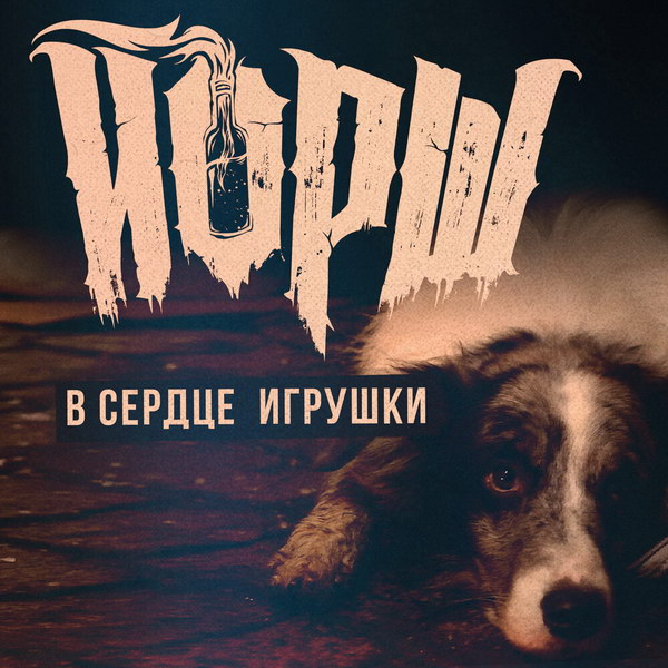 «Йорш» показали любовь брошенной собаки «В сердце игрушки» (Видео)