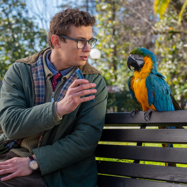 Никита Кологривый подружился с попугаями в «Возвращении попугая Кеши»
